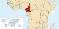 Situació de Camerun