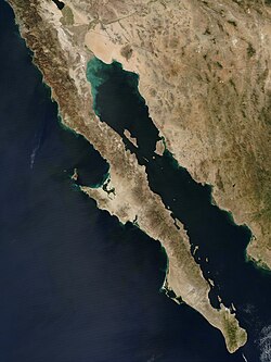 Archiu:Baja peninsula (mexico) 250m.jpg