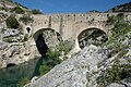 Pont del Diable (XI) aigües avall de l'abadia.