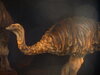 Maqueta d'Aepyornis en Bioparc