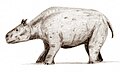 Toxodont'Archive:Thylacosmilus