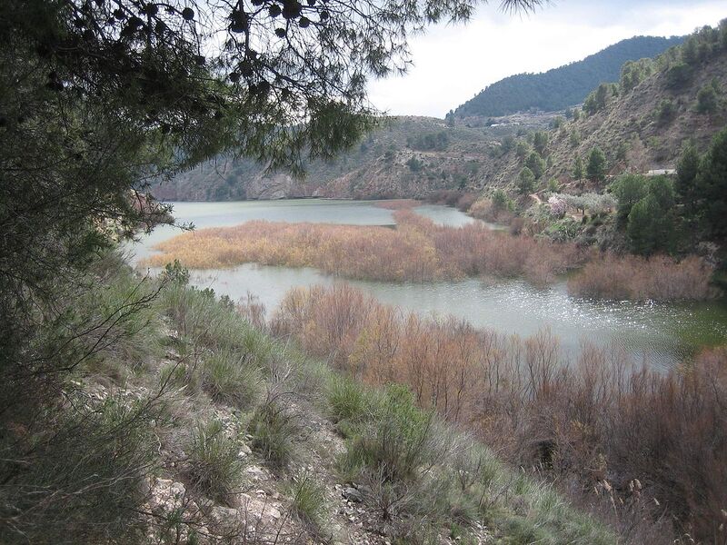 Archiu:Cola del pantano de Tibi.jpg