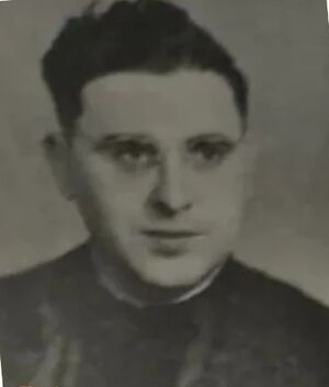 Josep Albiñana 4.jpg