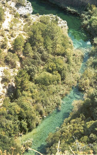 Archiu:Río Júcar 1.jpg