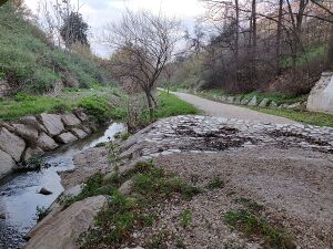 Río Tarafa.jpg